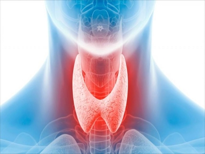 УЗИ щитовидной железы